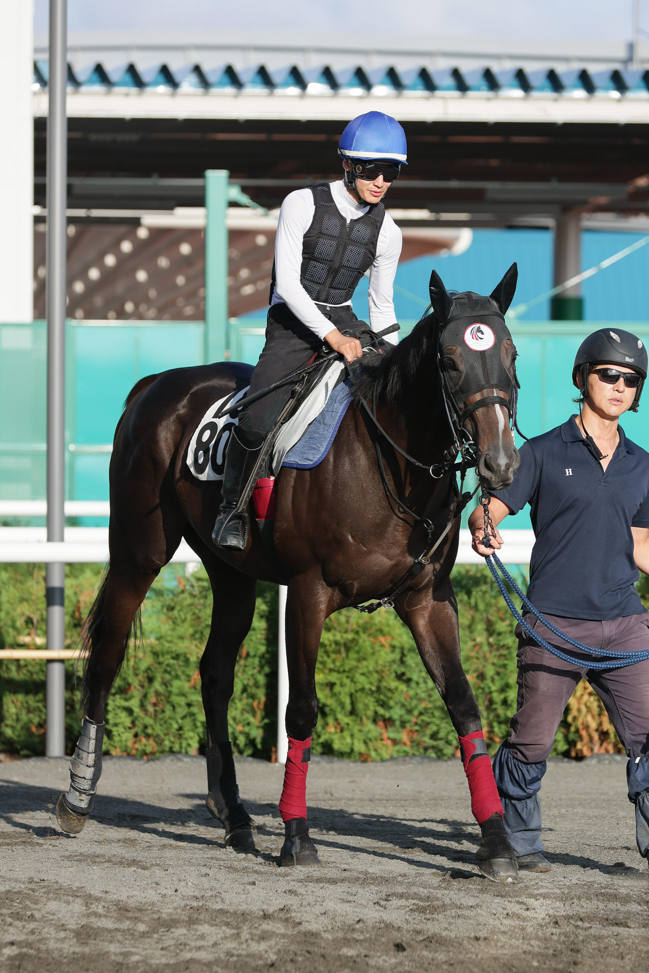 札幌競馬場で調整されるペプチドナイル（撮影・村野早祐）