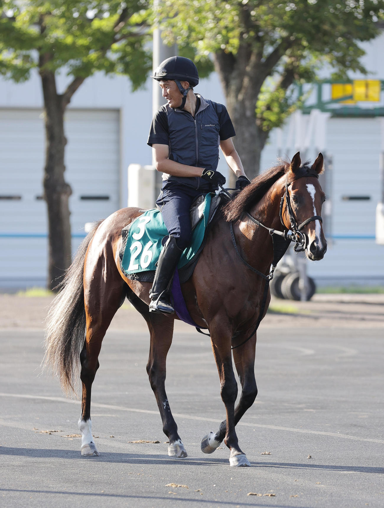 今週デビュー予定のコルレオニスは、函館競馬場で調整を積む