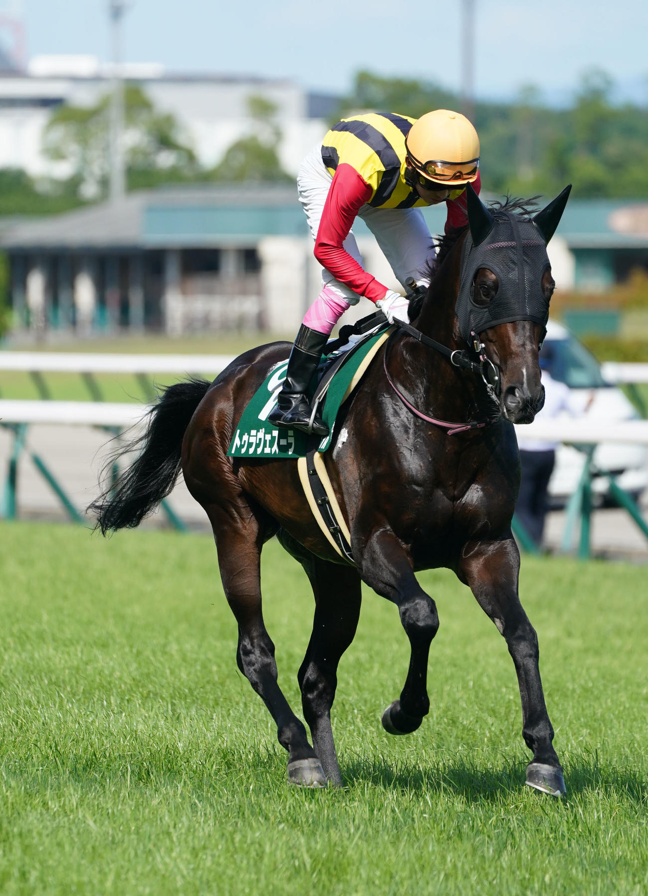 トゥラヴェスーラ（2023年7月2日撮影）