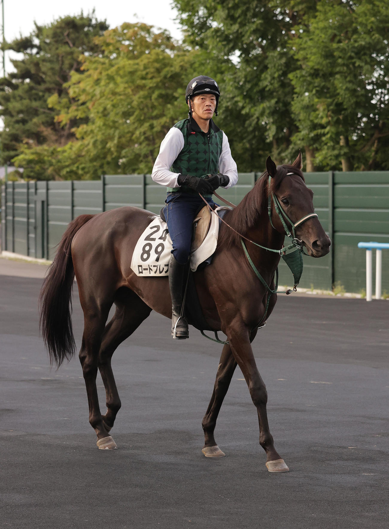 エルムSに向け、函館競馬場で調整するロードブレス