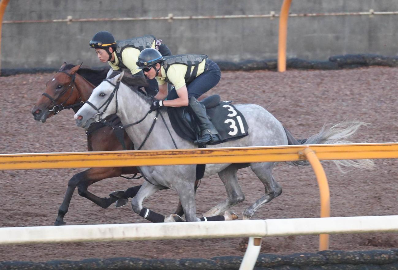 併せ馬で追い切るクレメダンジュ（手前）