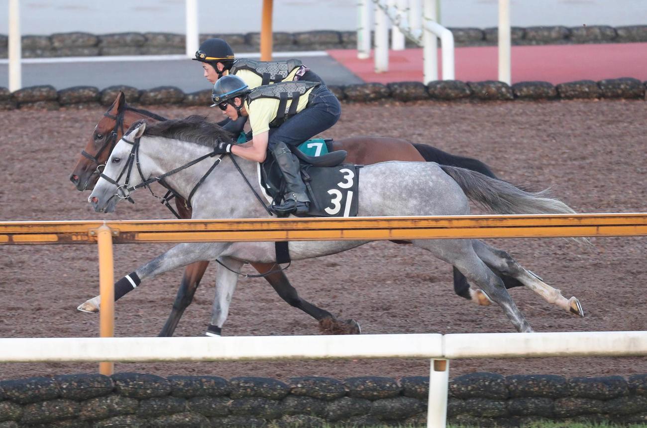 併せ馬で追い切るクレメダンジュ（手前）