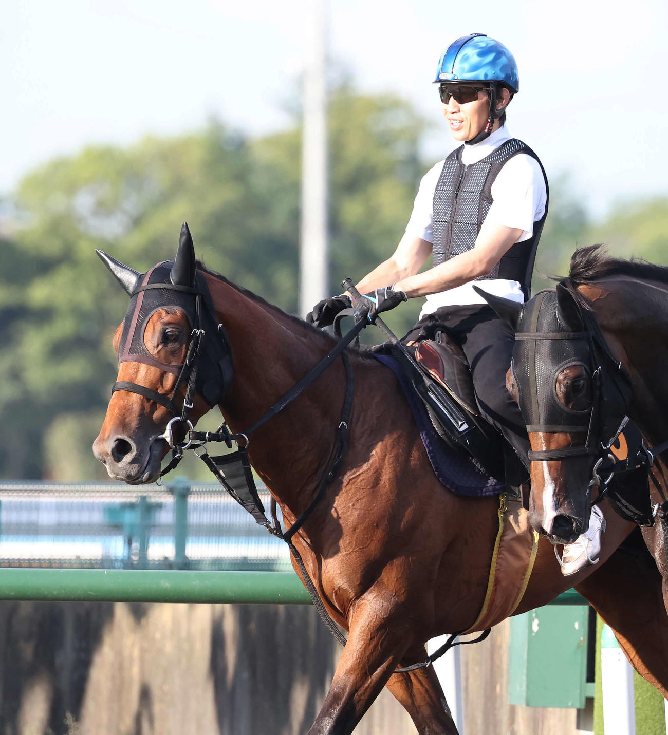 追い切りを終えて馬場を出るパクスオトマニカと田辺騎手（撮影・丹羽敏通）