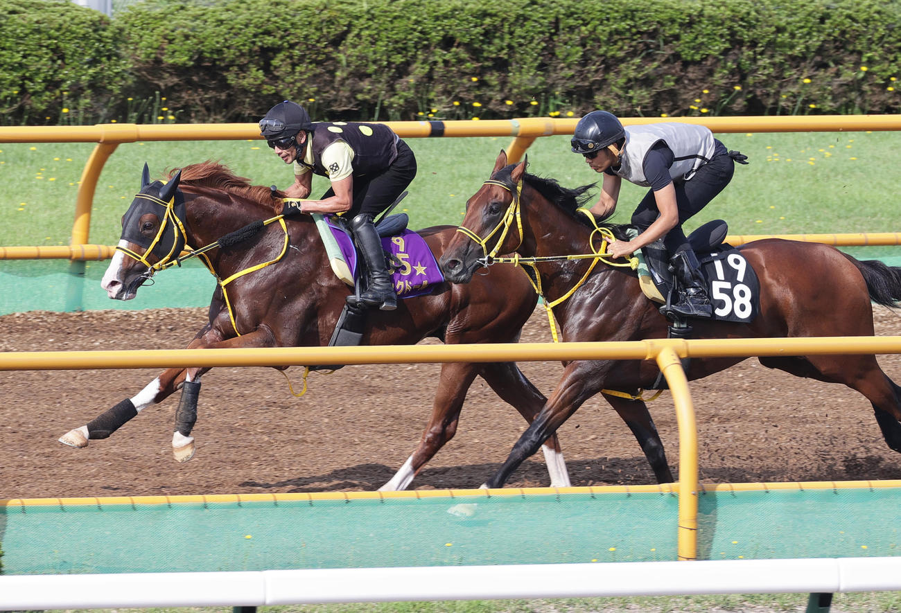 函館ウッドチップコースで、併せ馬で追い切られるジャックドール（左）