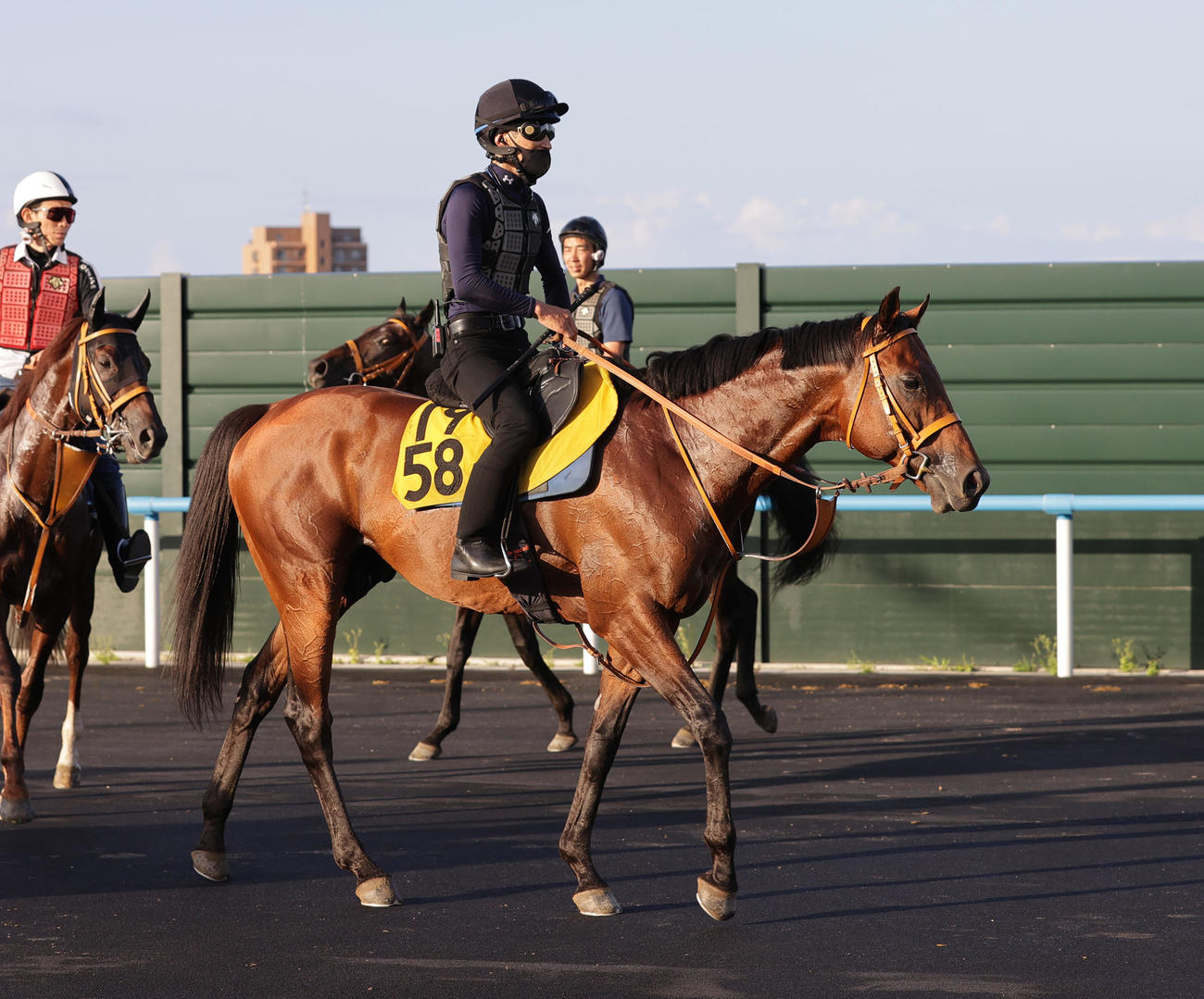 函館競馬場で調整するルコルセール（2023年8月1日撮影）