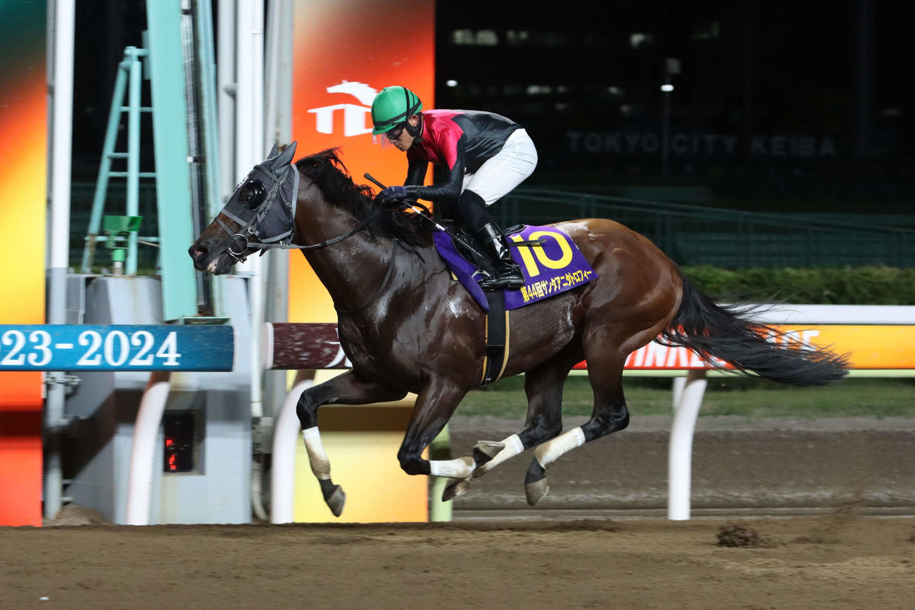 2着に4馬身差の逃げ切りでサンタアニタトロフィーを制したシュアゲイトと達城龍次騎手