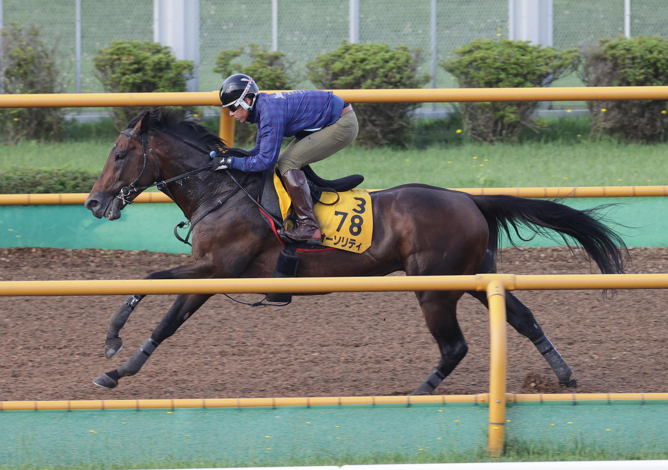 オーソリティは函館ウッドチップコースで追い切られた
