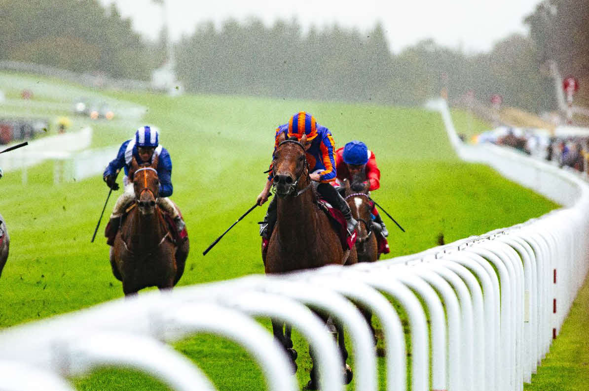 サセックスSを制したパディントン（C）Goodwood Racecourse