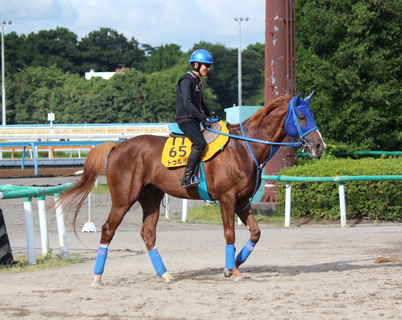 3日朝、ゲート試験に合格したトゥルボーと石神騎手