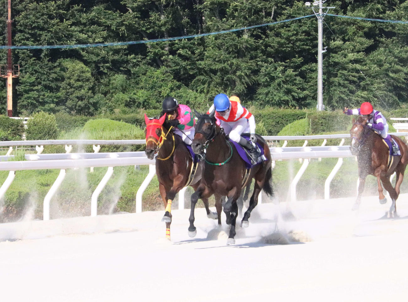 六甲山特別を勝利したアンパト（中央右）