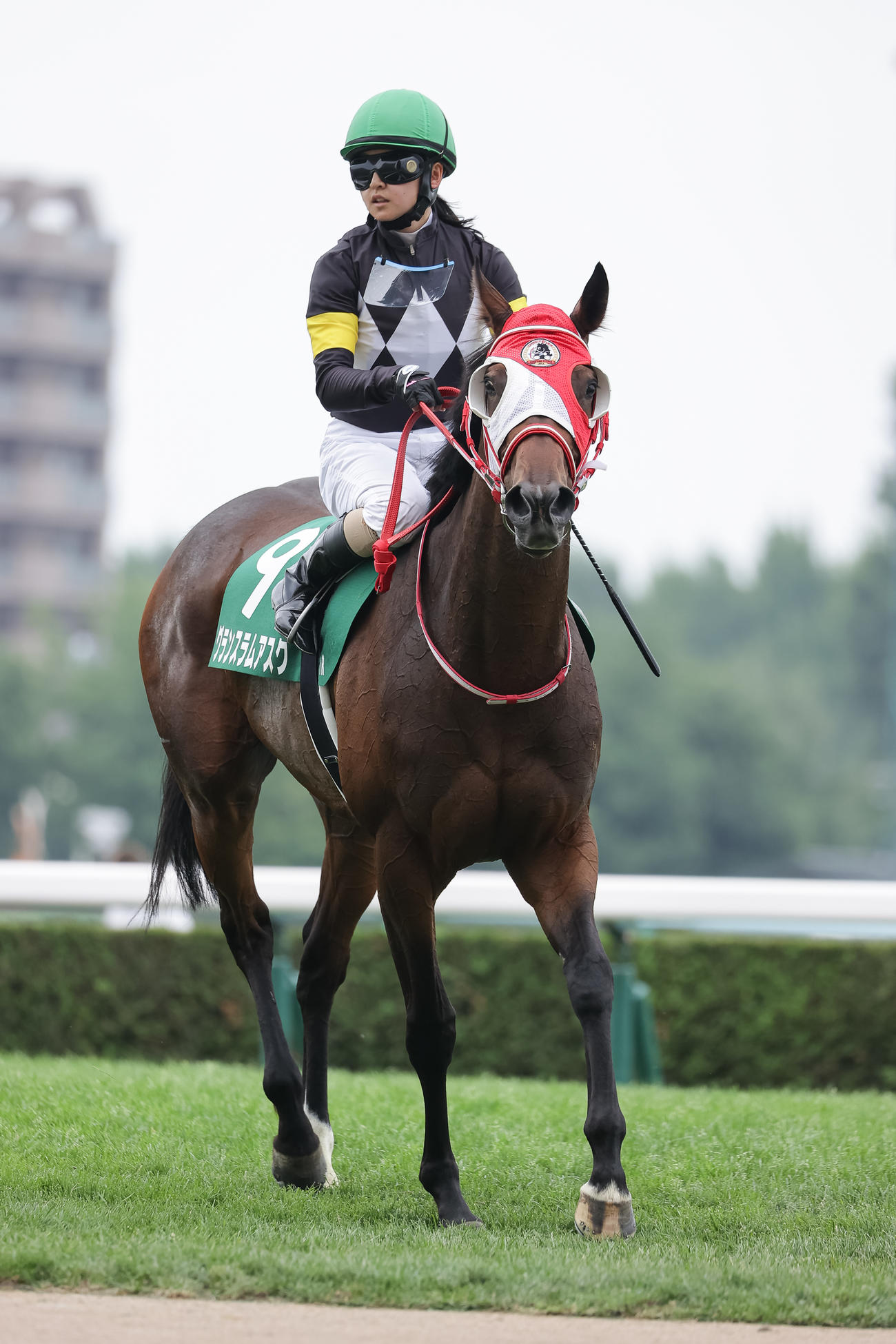 クイーンS14着に敗れたグランスラムアスクと古川奈穂騎手