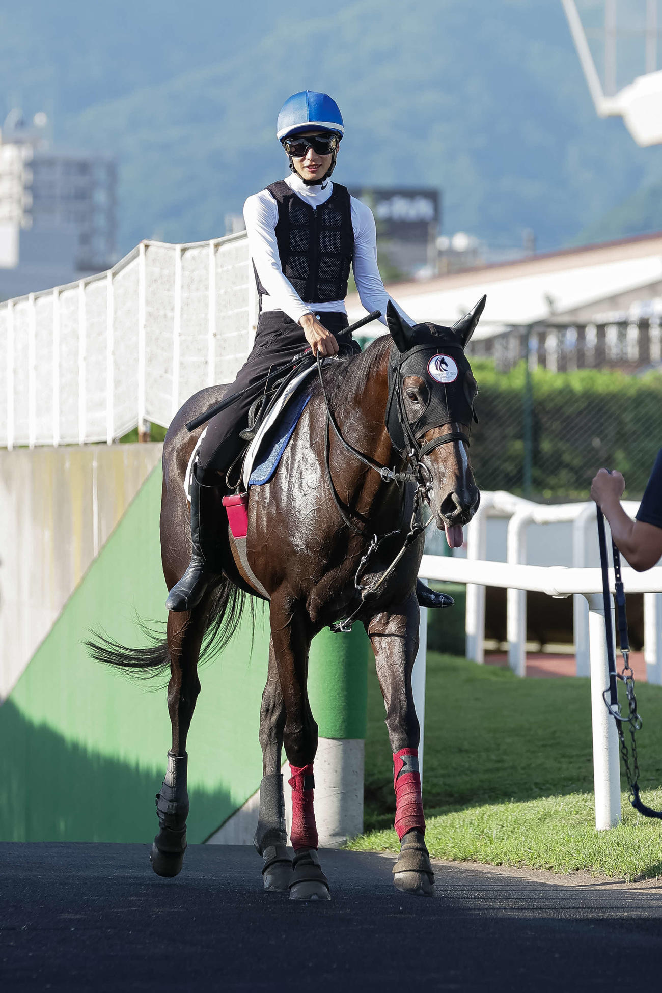 1日、富田騎手がまたがり、札幌競馬場で調整されるペプチドナイル