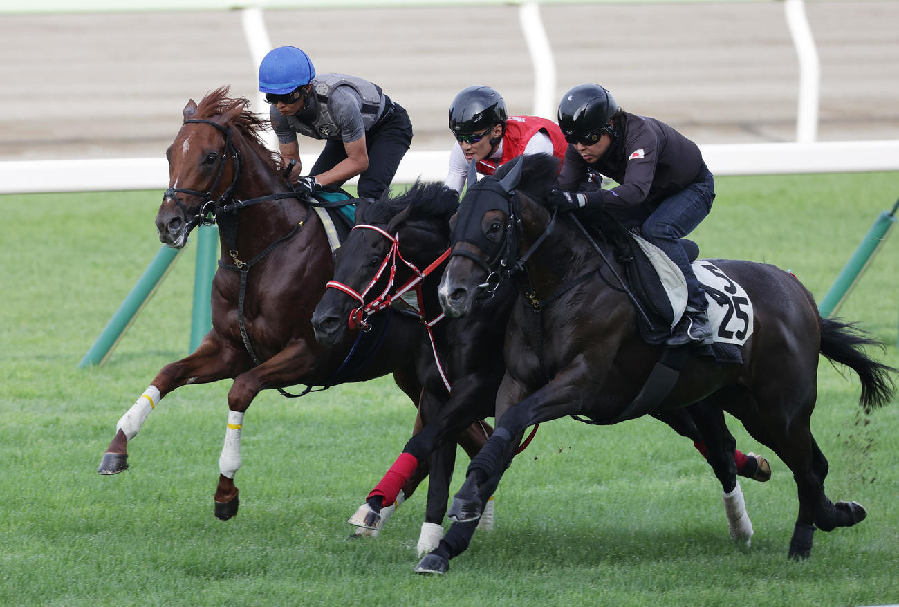 函館芝コースで、併せ馬で追い切られるガイアメンテ（左端）