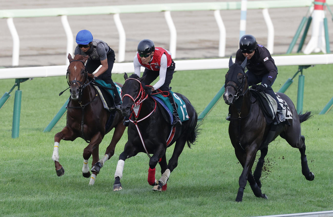 函館芝コースで、併せ馬で追い切られるガイアメンテ（左端）