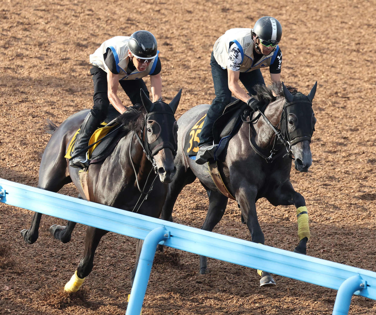 2日、美浦ウッドでワンダフルヘヴンと追い切られたリバートゥルー（右）