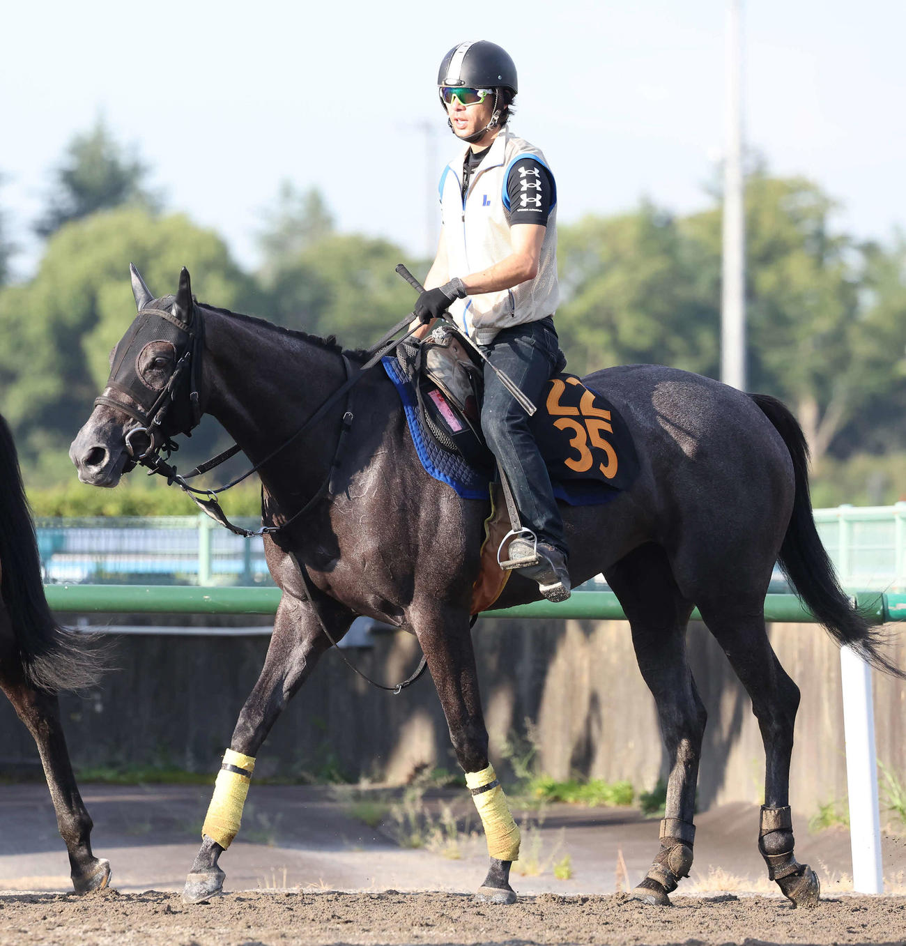2日、追い切りを終えて馬場を出るリバートゥルー