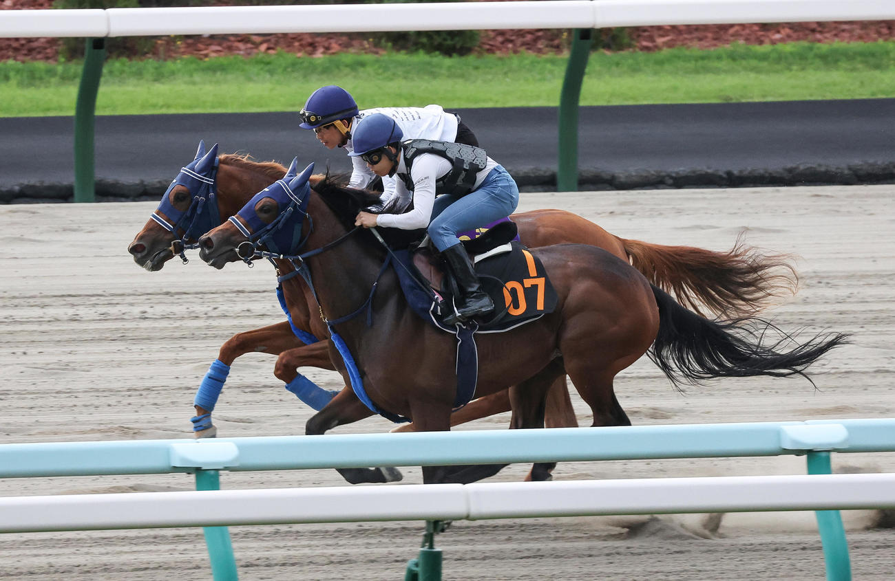 松岡騎手を背に、札幌ダートコースで追い切られるウインマリリン（奥）