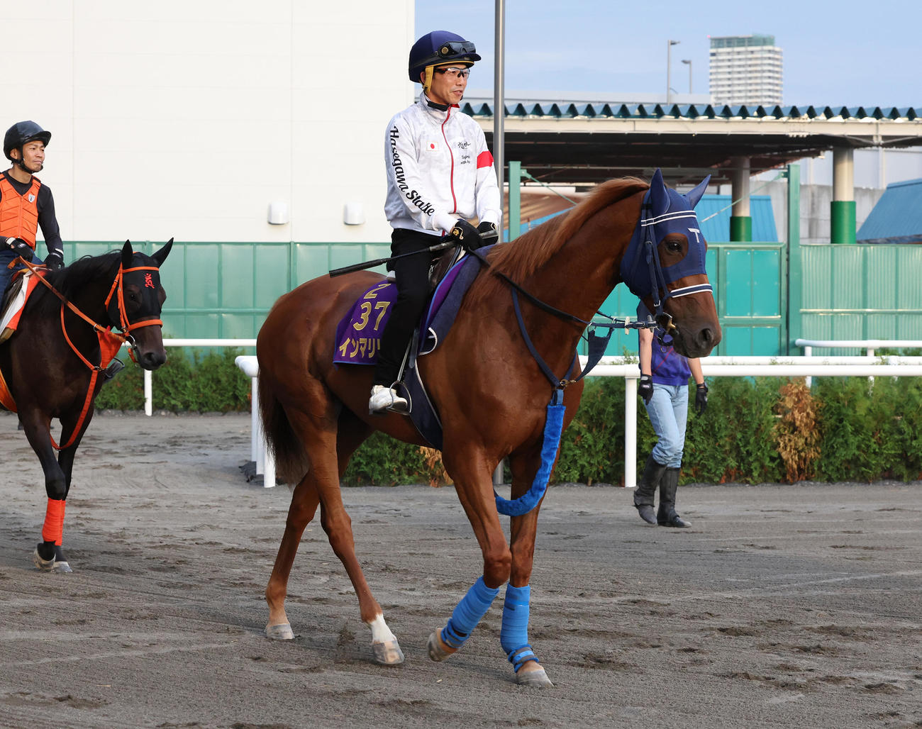 松岡騎手を背に、札幌競馬場で調整を積むウインマリリン