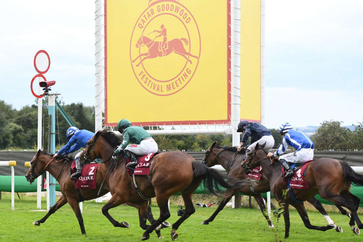 アルフスン（一番左）が制し、ブルーローズセン（一番右）は4着（C）Goodwood Racecourse