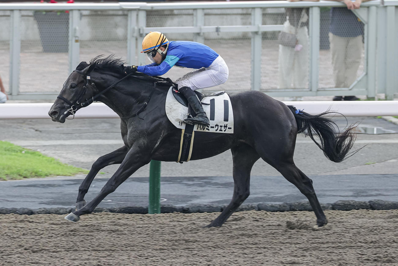 札幌1R、2歳未勝利を制したバルミーウェザーと亀田騎手（撮影・村野早祐）