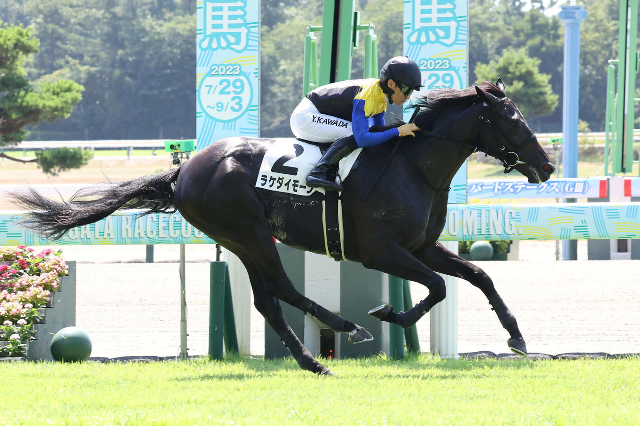 新潟1R、2歳未勝利戦を制したラケダイモーンと川田騎手（撮影・丹羽敏通）
