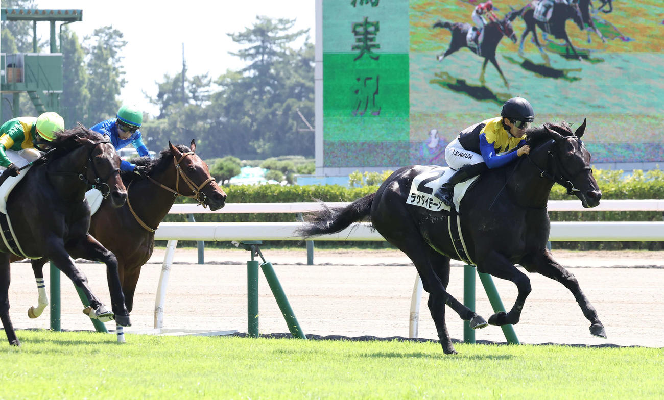 新潟1R、2歳未勝利戦を制したラケダイモーンと川田騎手（撮影・丹羽敏通）