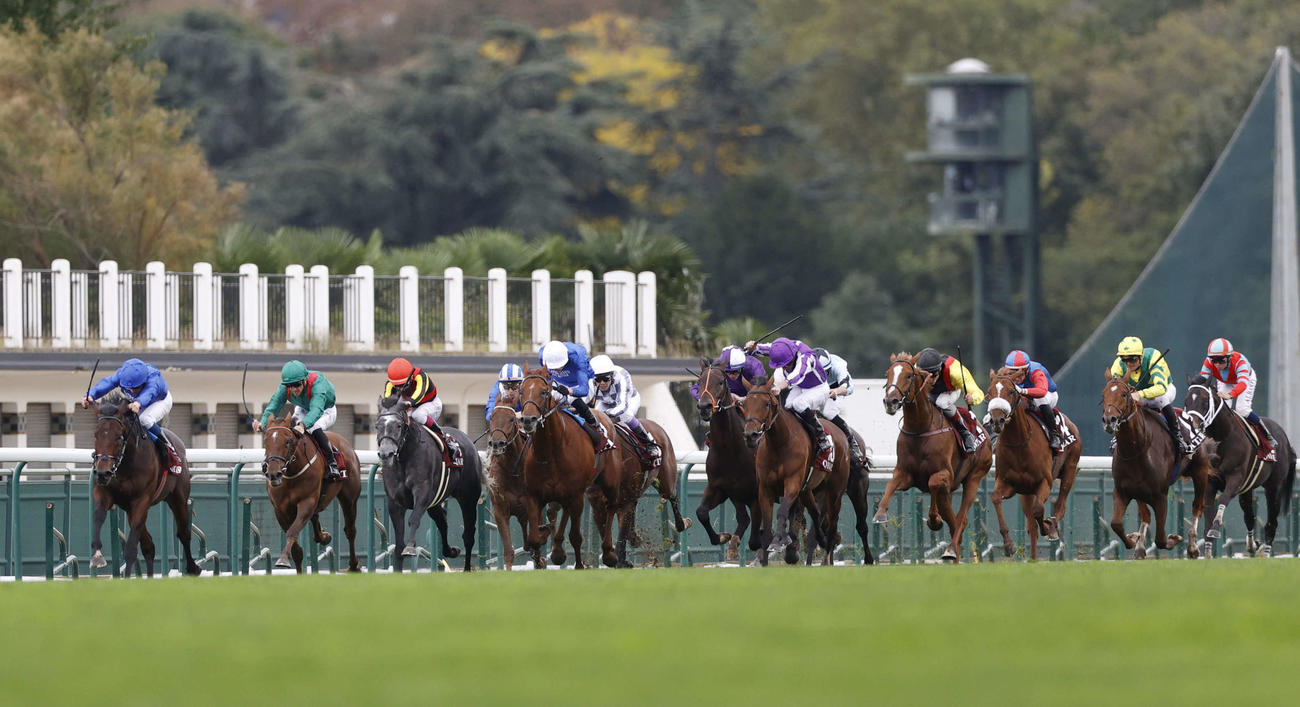 2021年・凱旋門賞で最後の直線を走る出走馬（C）Photostud・TIS