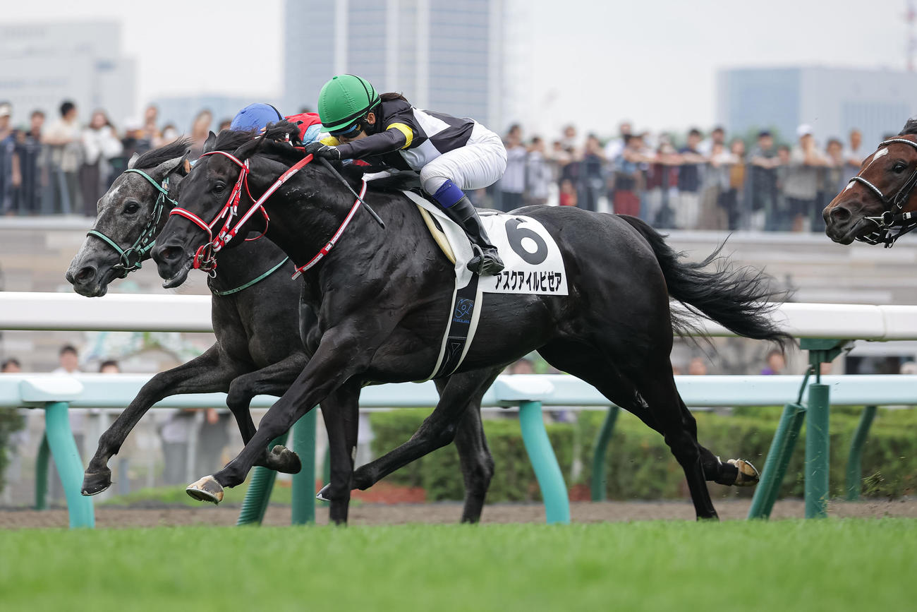 札幌5R、デビュー戦を制したアスクアイルビゼアと古川奈騎手（手前）（撮影・村野早祐）
