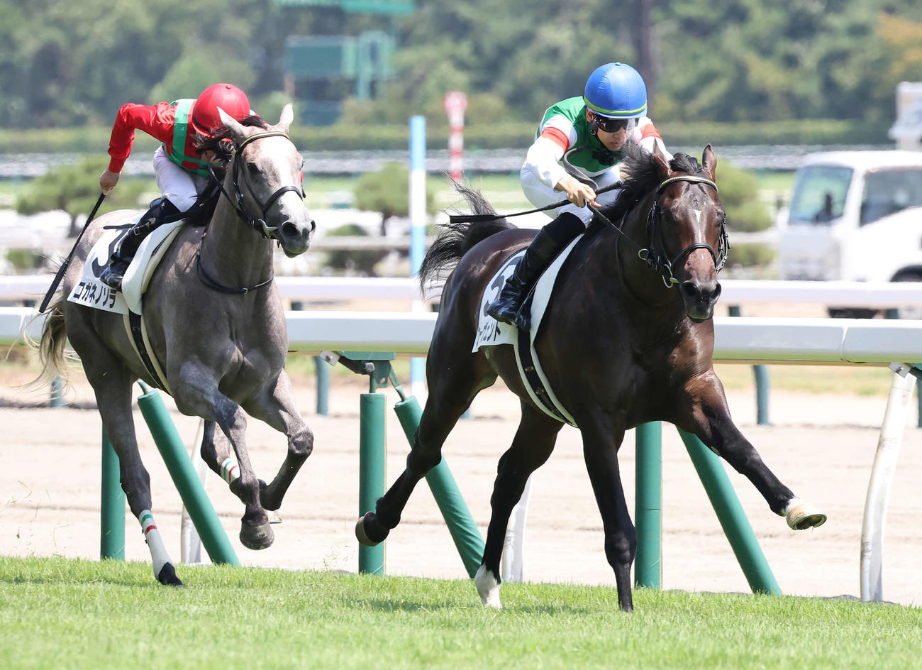 新潟5R、デビュー戦を制したファーヴェントと松山騎手（右）（撮影・丹羽敏通）