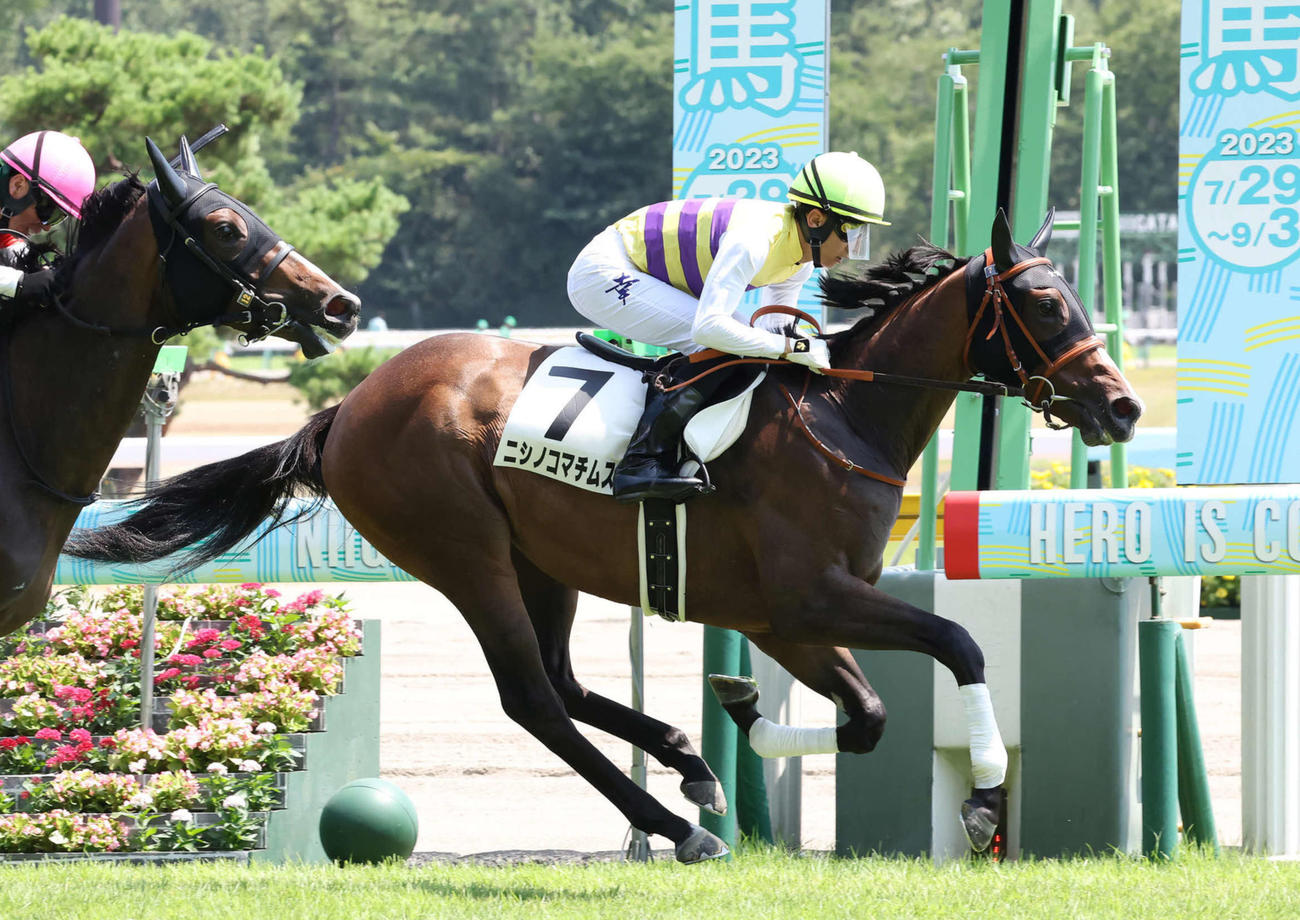 新潟6R、新馬戦を制したニシノコマチムスメと幸騎手（撮影・丹羽敏通）