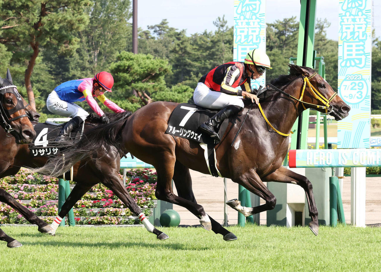 直線鋭く伸びて新潟日報賞を制したアルーリングウェイと岩田望来騎手（撮影・丹羽敏通）