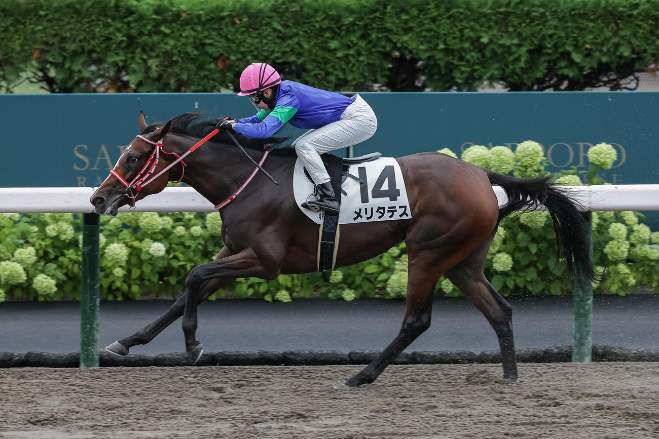 札幌4R、3歳未勝利を制したメリタテスと古川奈騎手（撮影・村野早祐）