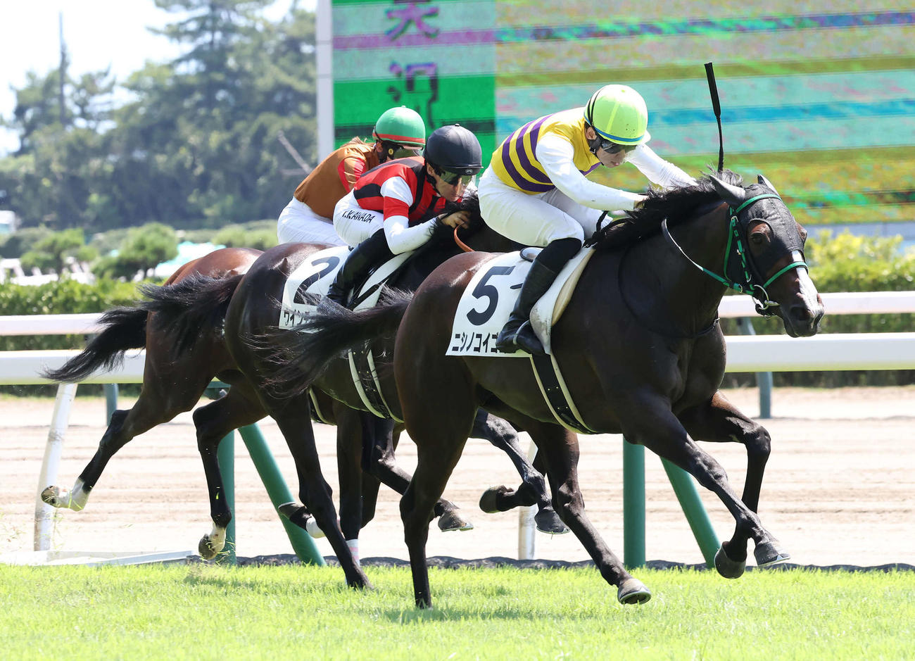 新潟2R、2歳未勝利戦を制したニシノコイゴコロと野中騎手（撮影・丹羽敏通）