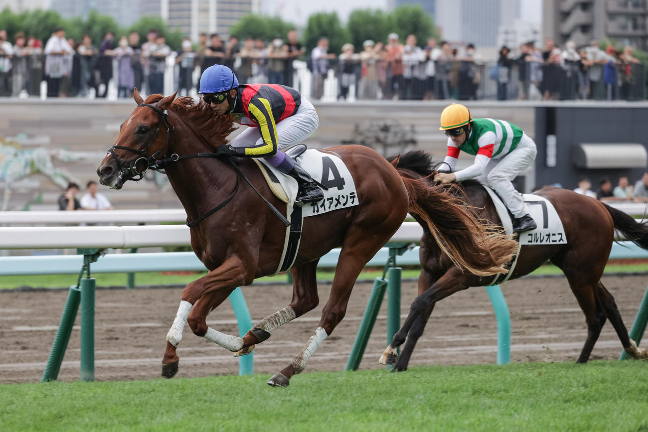 札幌5R、デビュー戦を制したガイアメンテと武豊騎手。右は２着コルレオニスとルメール騎手（撮影・村野早祐）