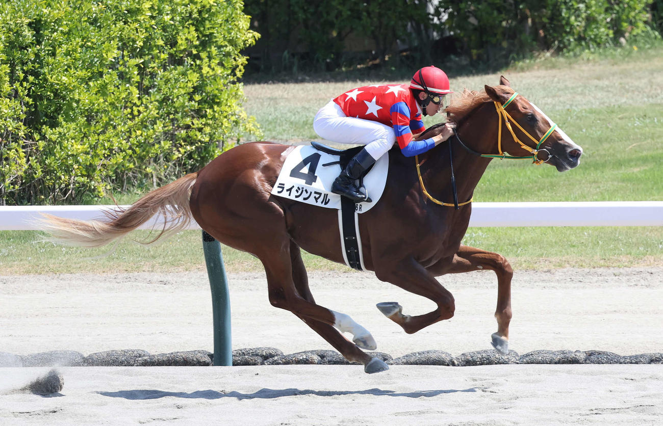 新潟6R、2歳新馬戦を制したライジンマルと津村騎手（撮影・丹羽敏通）