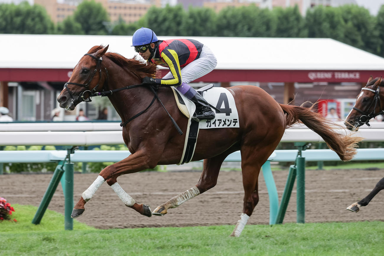 デビュー戦を制したガイアメンテと武豊騎手（撮影・村野早祐）