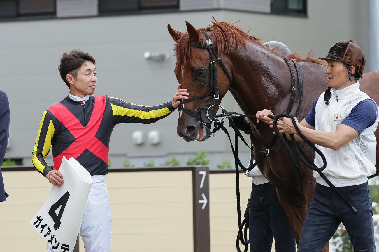 ガイアメンテをなでてねぎらう武豊騎手（撮影・村野早祐）