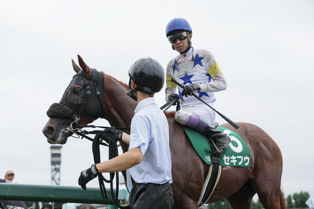 エルムSを制したセキフウと武豊騎手（撮影・村野早祐）