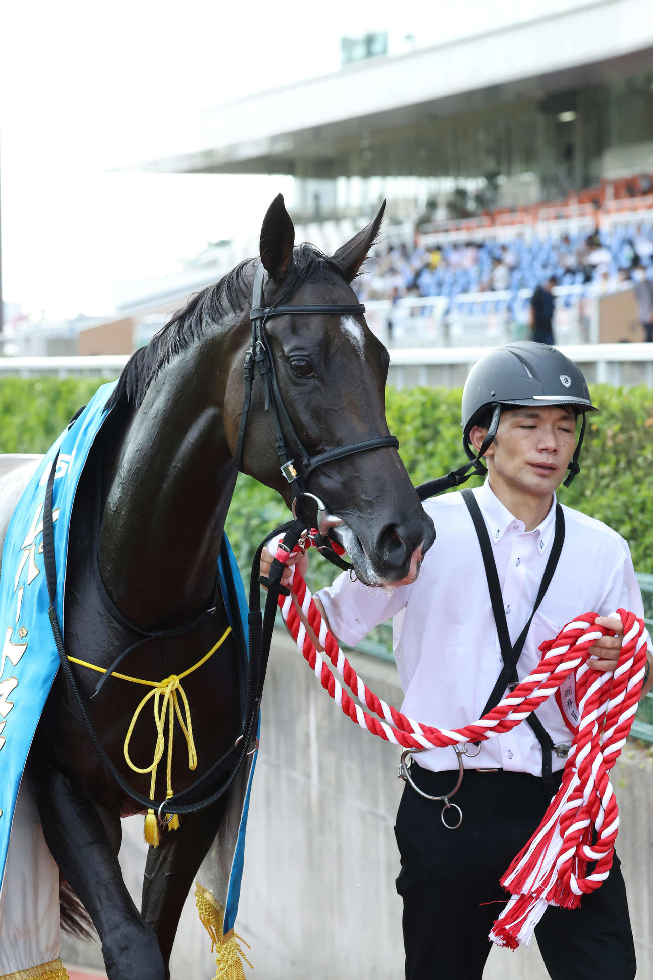 レパードSを制したライオットガール（撮影・丹羽敏通）