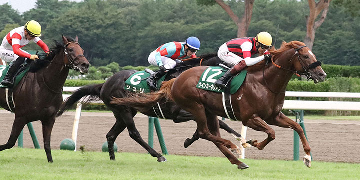 関屋記念を制したウインカーネリアンと三浦騎手（撮影・丹羽敏通）＝2022年8月14日、新潟競馬場