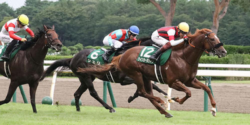 関屋記念を制したウインカーネリアンと三浦騎手(撮影・丹羽敏通)=2022年8月14日、新潟競馬場