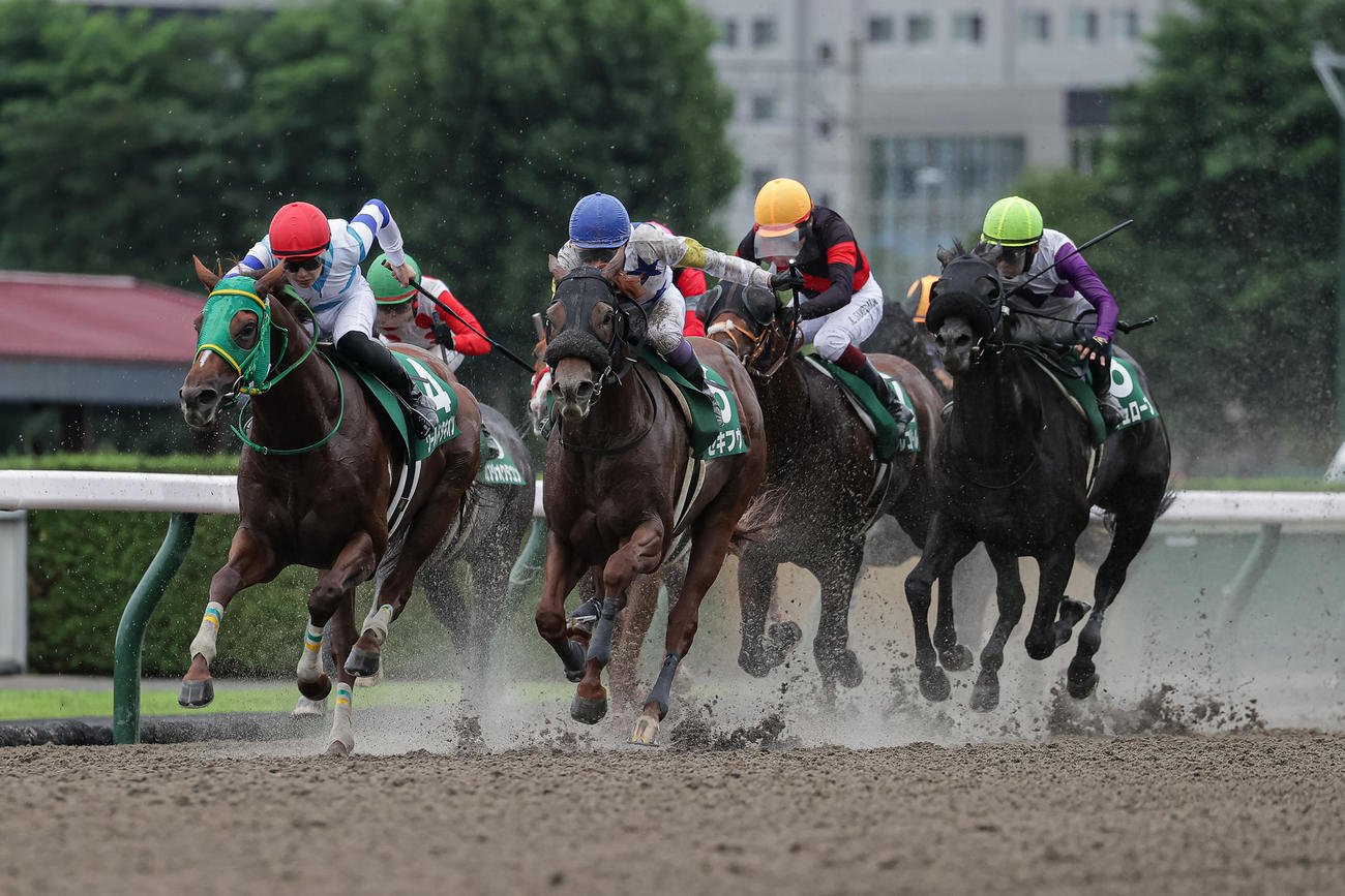 エルムSで2着のワールドタキオン（左）（撮影・村野早祐）