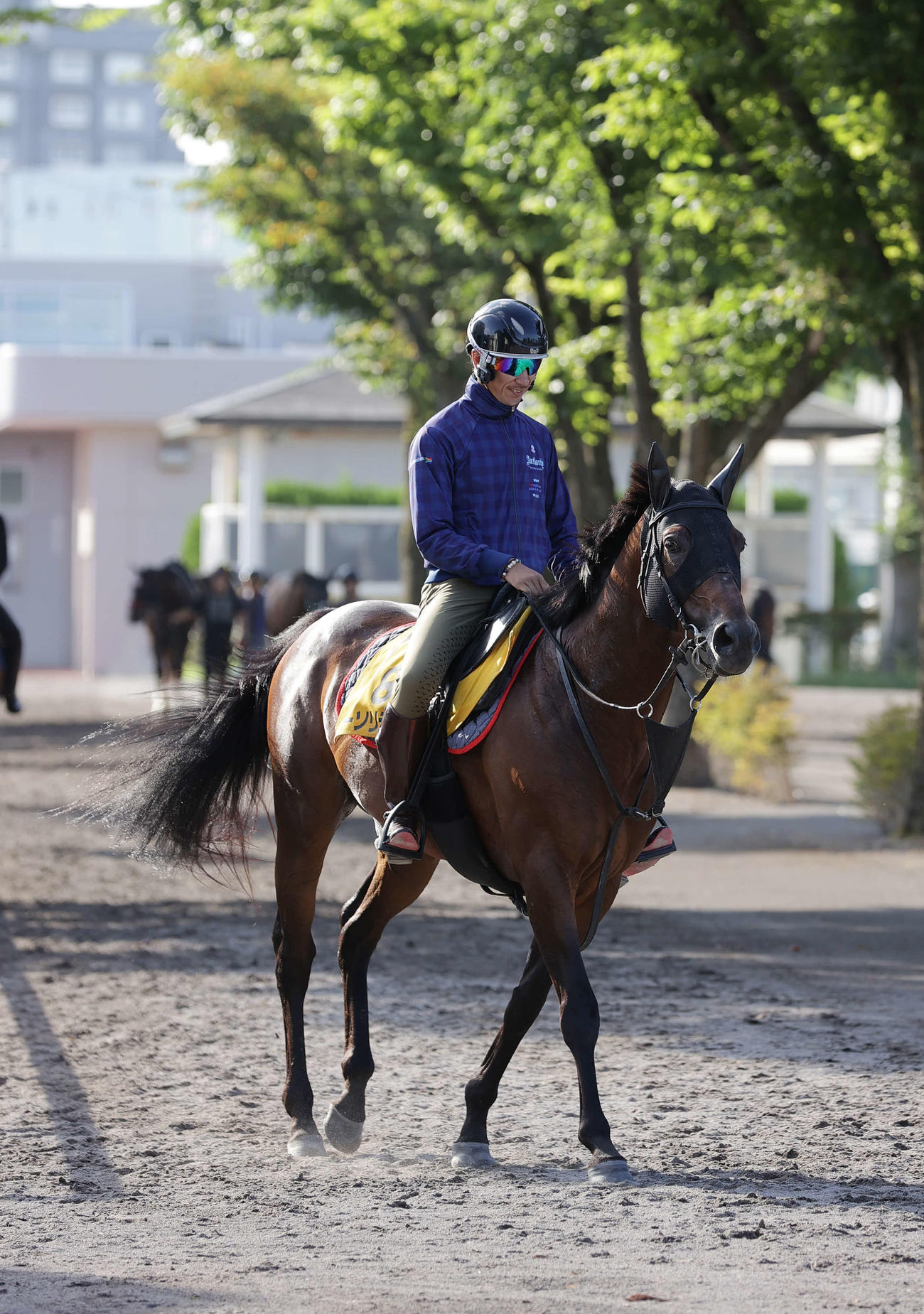 函館競馬場で調整するオーソリティ（2023年8月1日撮影）