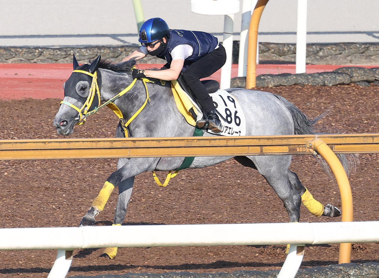 3日、小倉記念1週前追い切りで松山騎手を背に軽快な動きをみせたマリアエレーナ