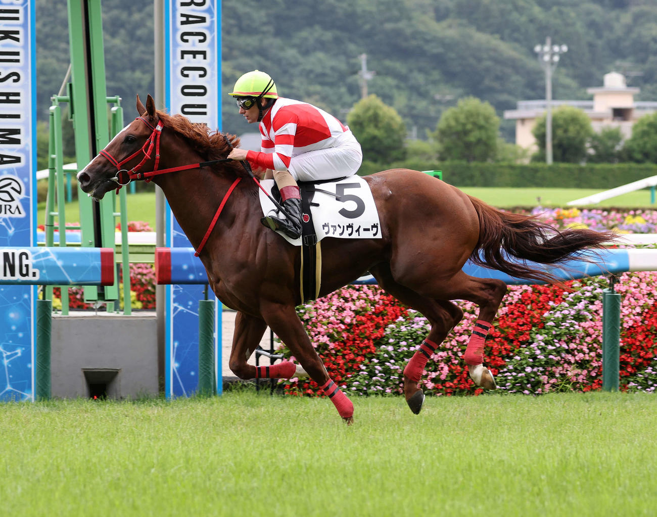 2歳未勝利を制したヴァンヴィーヴ（2023年7月8日撮影）