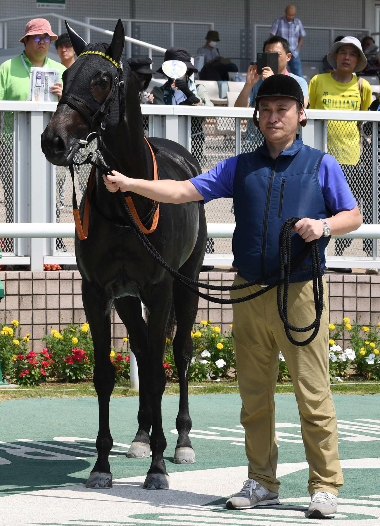 7月29日、新潟1Rで初勝利を飾ったシカゴスティング