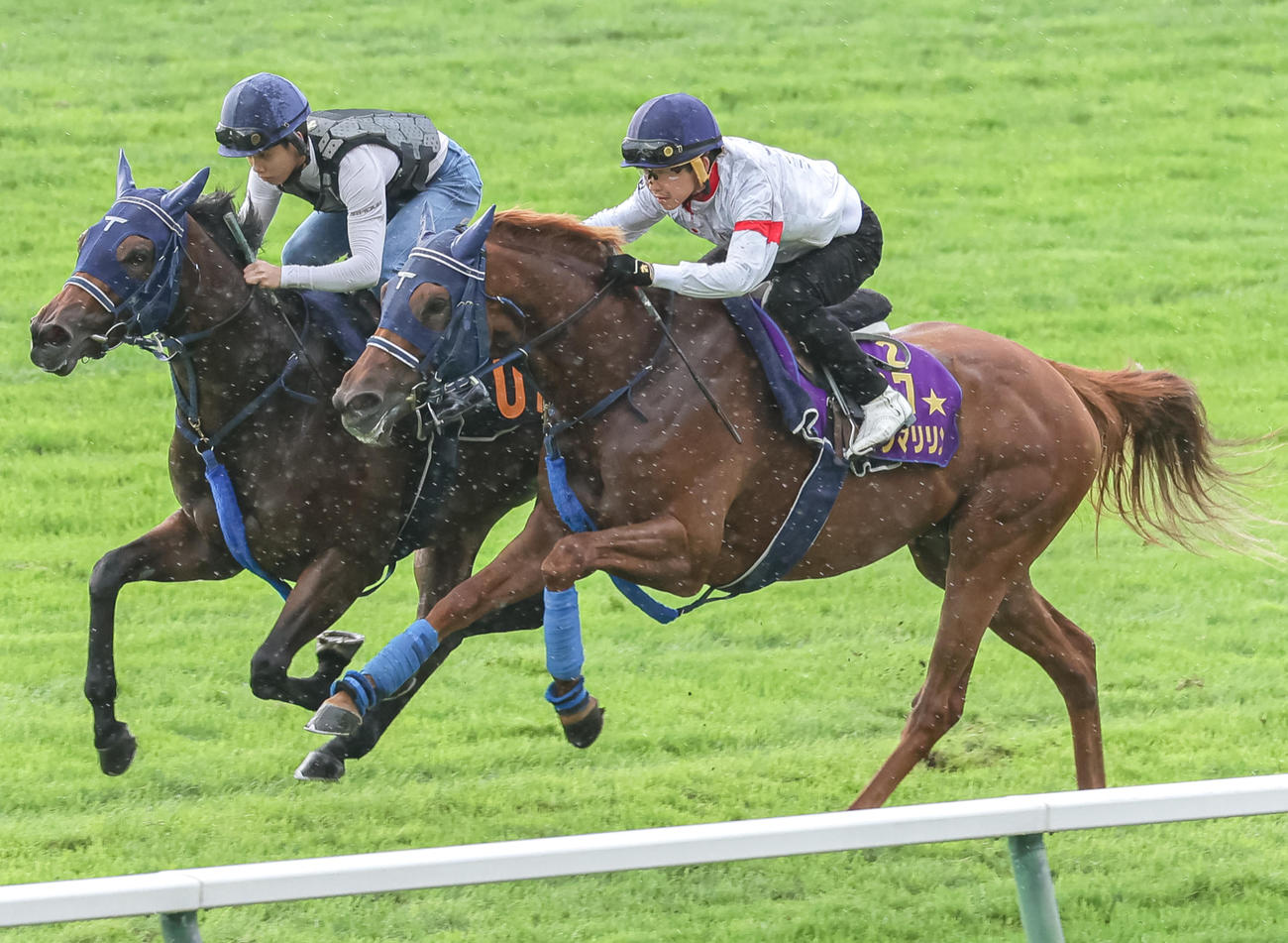 松岡騎手を背に札幌芝コースで追い切られるウインマリリン（撮影・村野早祐）
