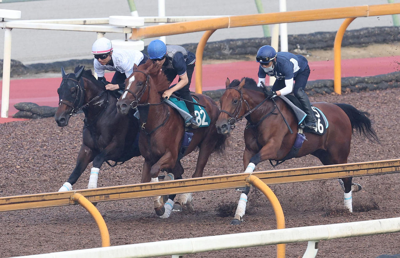 3頭併せで追い切るカレンルシェルブル（左）（撮影・白石智彦）