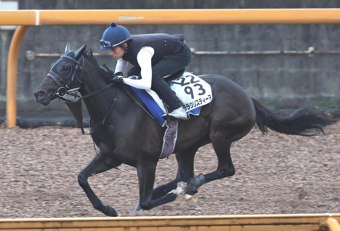 中井騎手を背にCウッドを単走で追い切るララクリスティーヌ（撮影・白石智彦）