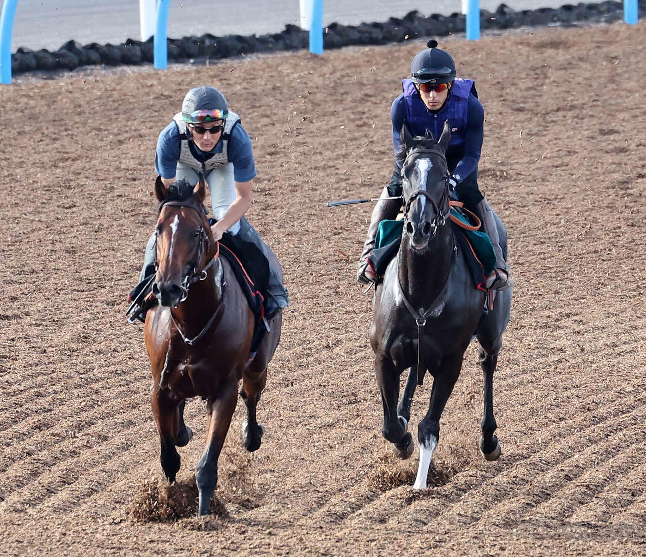 美浦ウッドで併せて追い切るサンディブロンド（右）（撮影・鈴木正人）